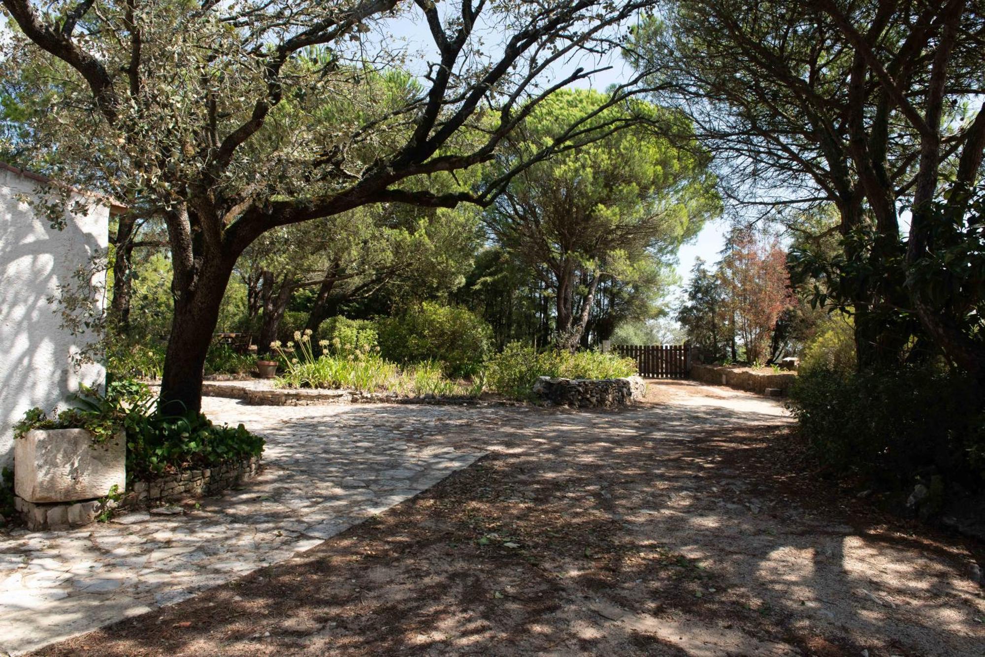 Moinho Do Avo To Βίλα Rio Maior Εξωτερικό φωτογραφία