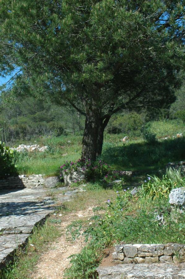 Moinho Do Avo To Βίλα Rio Maior Εξωτερικό φωτογραφία