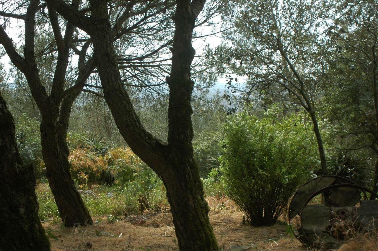 Moinho Do Avo To Βίλα Rio Maior Εξωτερικό φωτογραφία