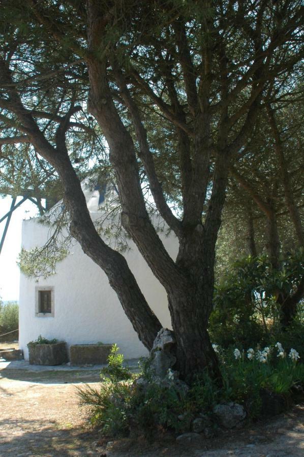 Moinho Do Avo To Βίλα Rio Maior Εξωτερικό φωτογραφία