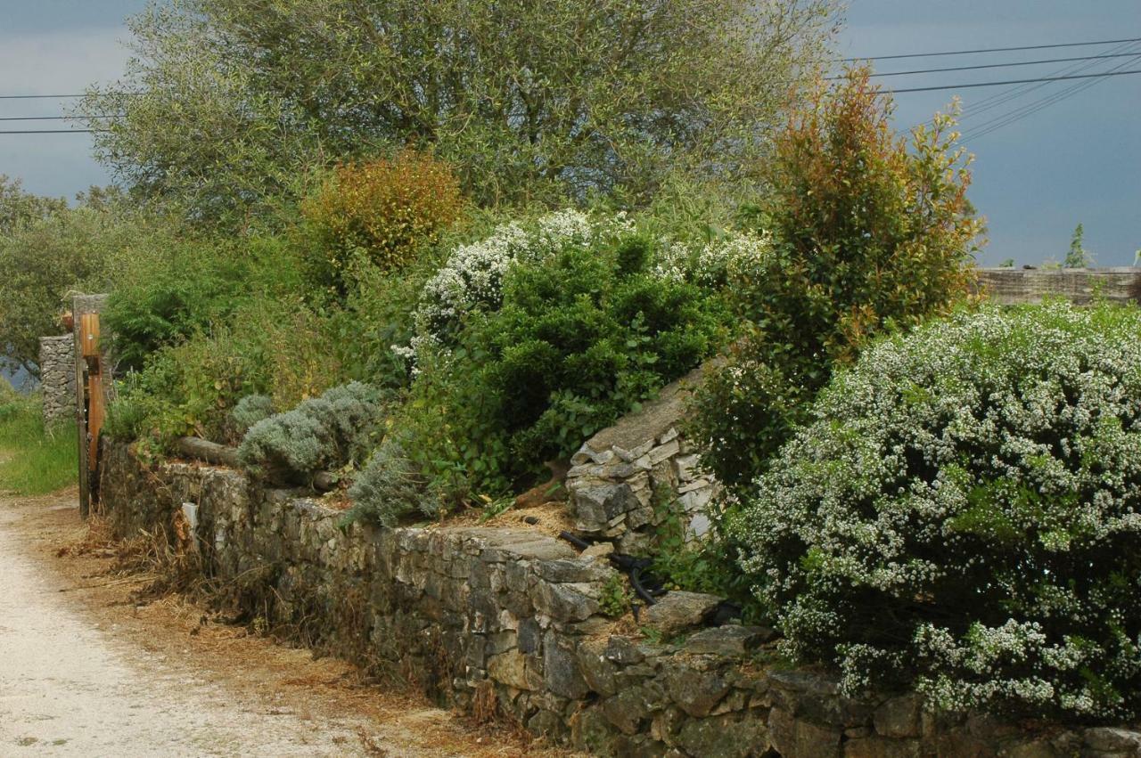 Moinho Do Avo To Βίλα Rio Maior Εξωτερικό φωτογραφία
